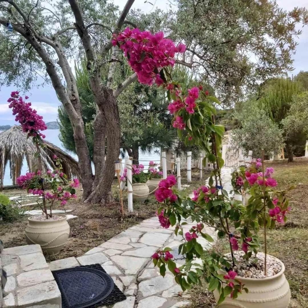 Beach House Onar Diaporos Екстер'єр фото